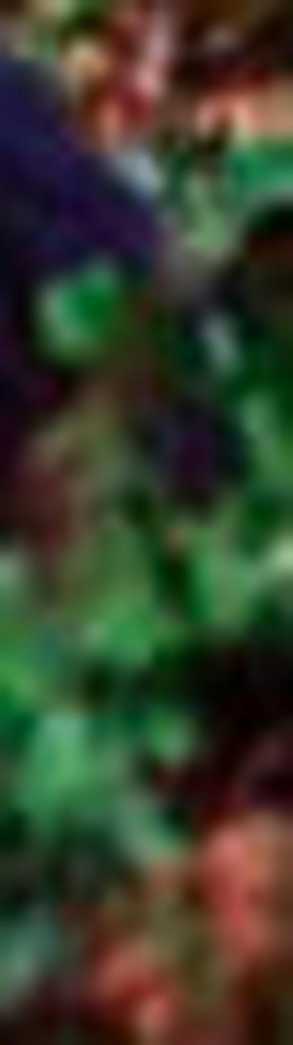 imagen principal home