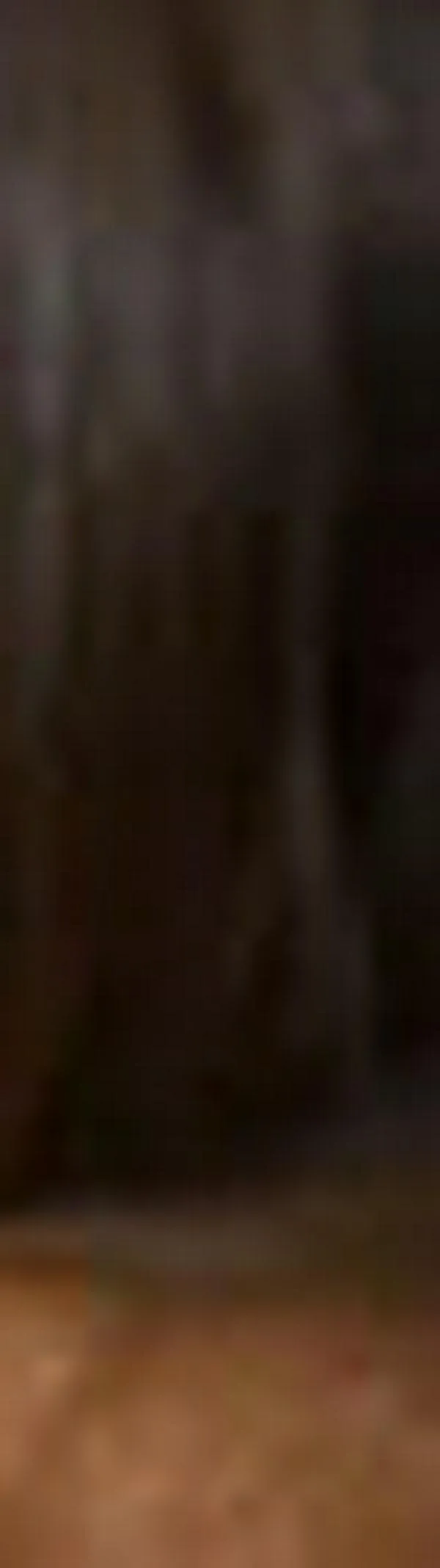 Mandatarios regionales reclaman ser escuchados