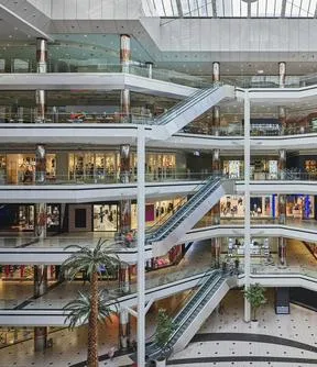 Imagen representativa del artículo