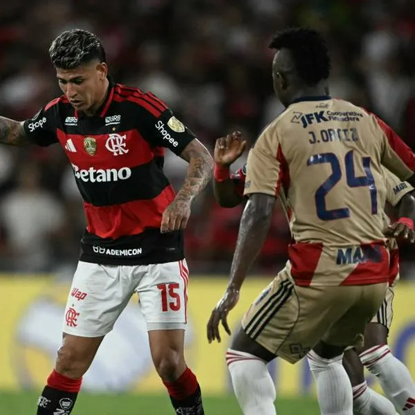 imagen principal home