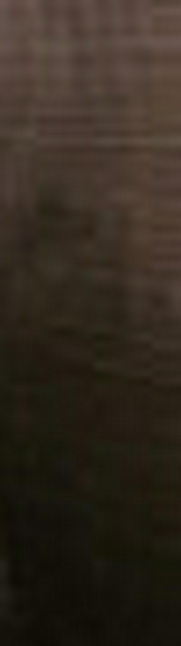 imagen principal home