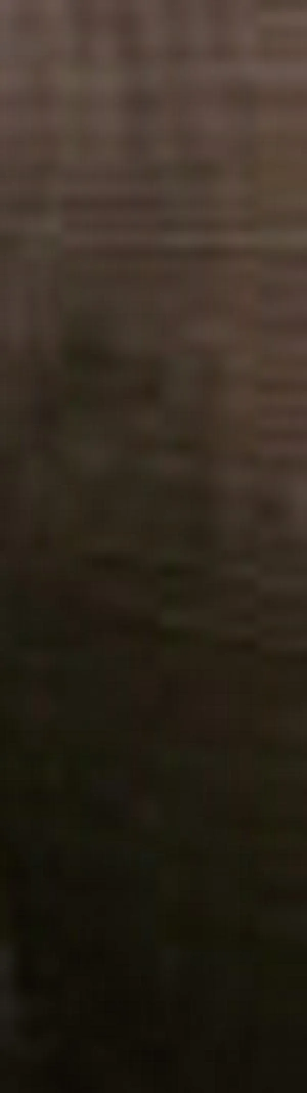 Relaciones tóxicas aceleran el envejecimiento biológico