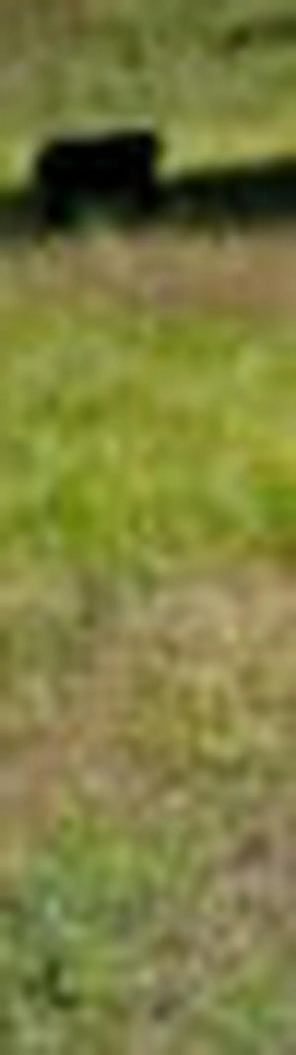 Valle revisará avalúos en 25 municipios