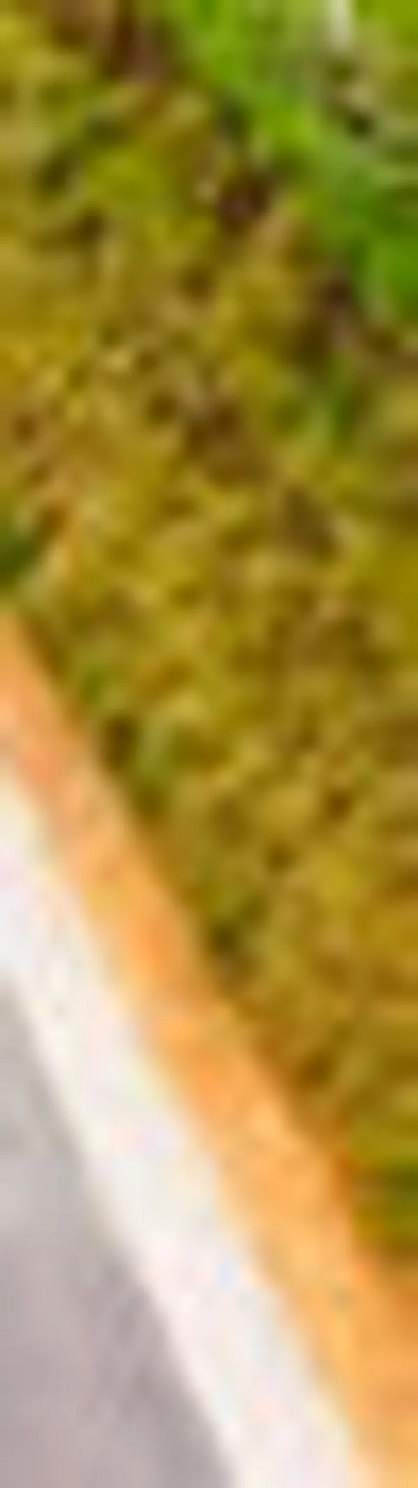 Siguen hurtos en vía Panamericana