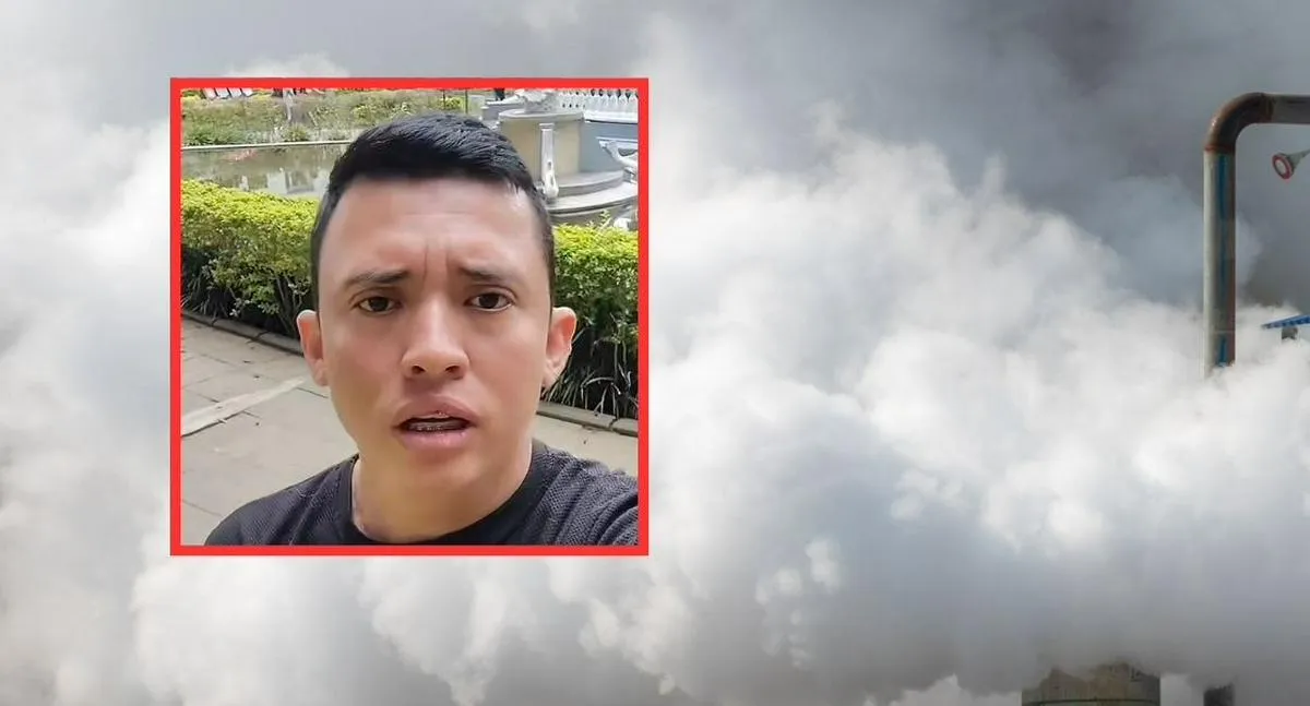 Imagen representativa del artículo