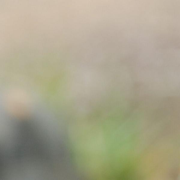 imagen principal home