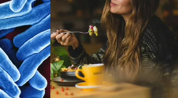 ¿Qué es la microbiota? Todo lo que debes saber para ayudar a tu digestión