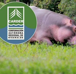 imagen nota inferior