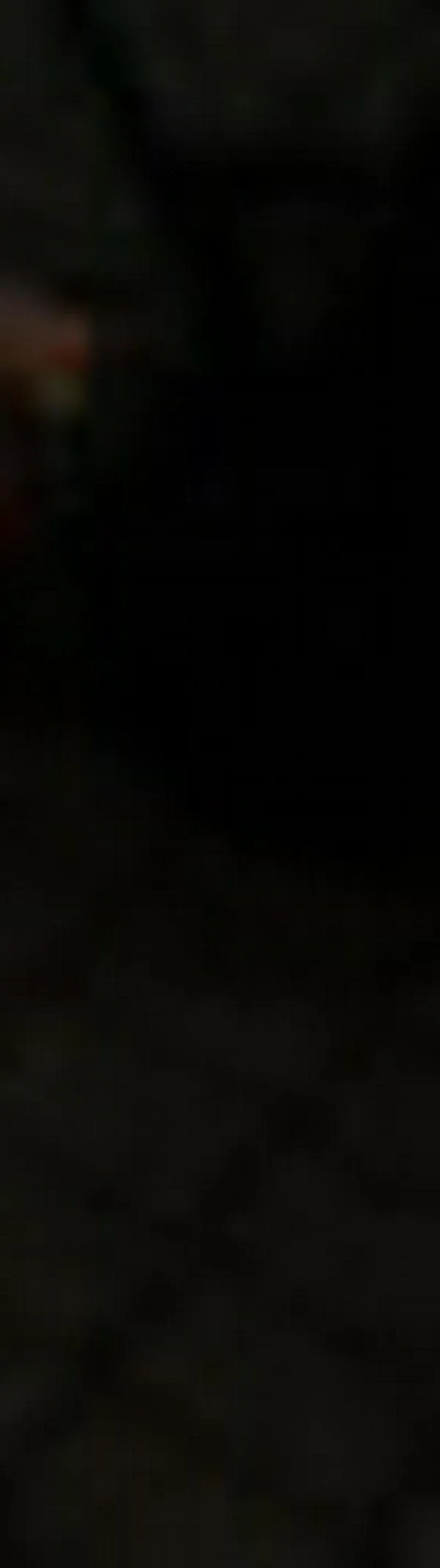 Al descubierto centro de acopio subterráneo de armas y droga en Cali