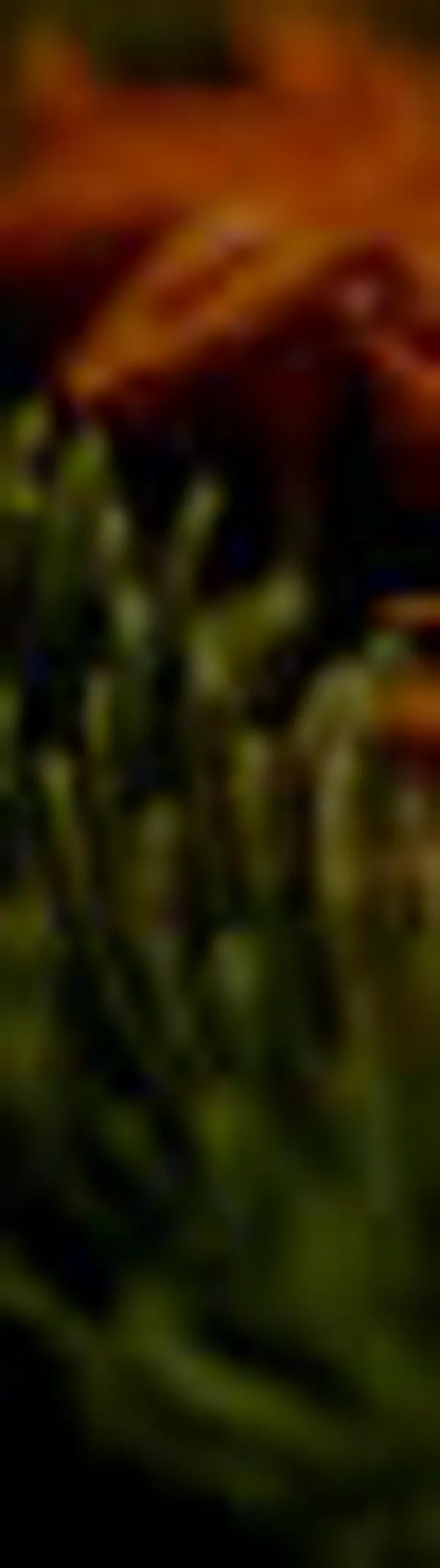 “El aroma es el sentido que más recordamos”: el poder del marketing sensorial fue protagonista en Epicca 2026