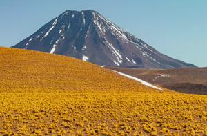 imagen nota inferior