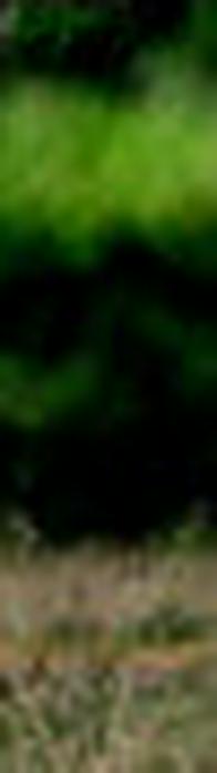 Comando General de las Fuerzas Militares cumple 75 años: así ha evolucionado su papel en la seguridad del país