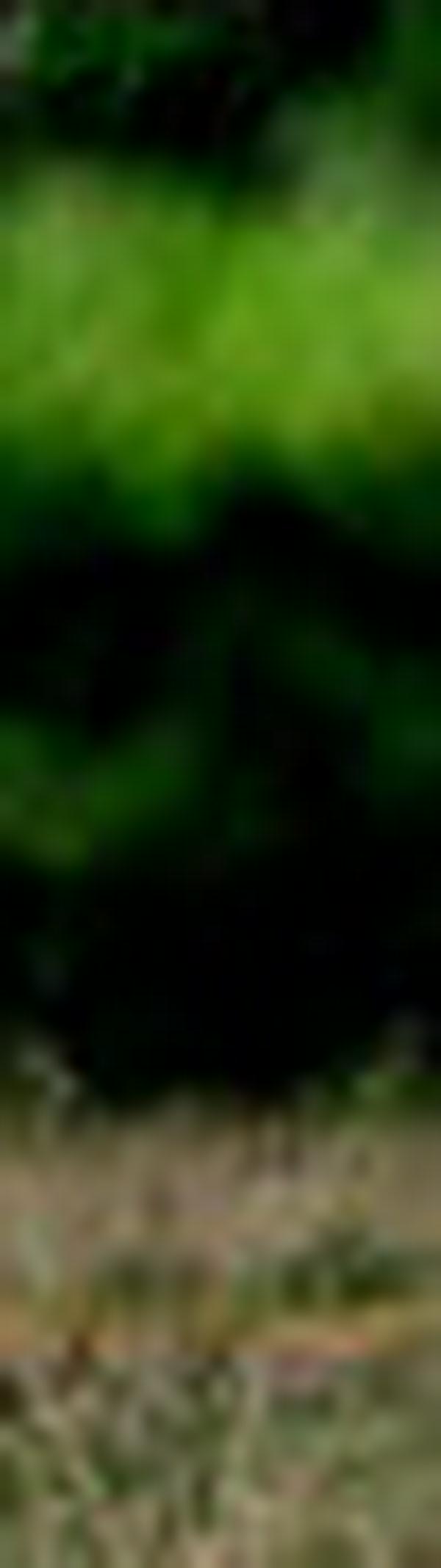 imagen principal home