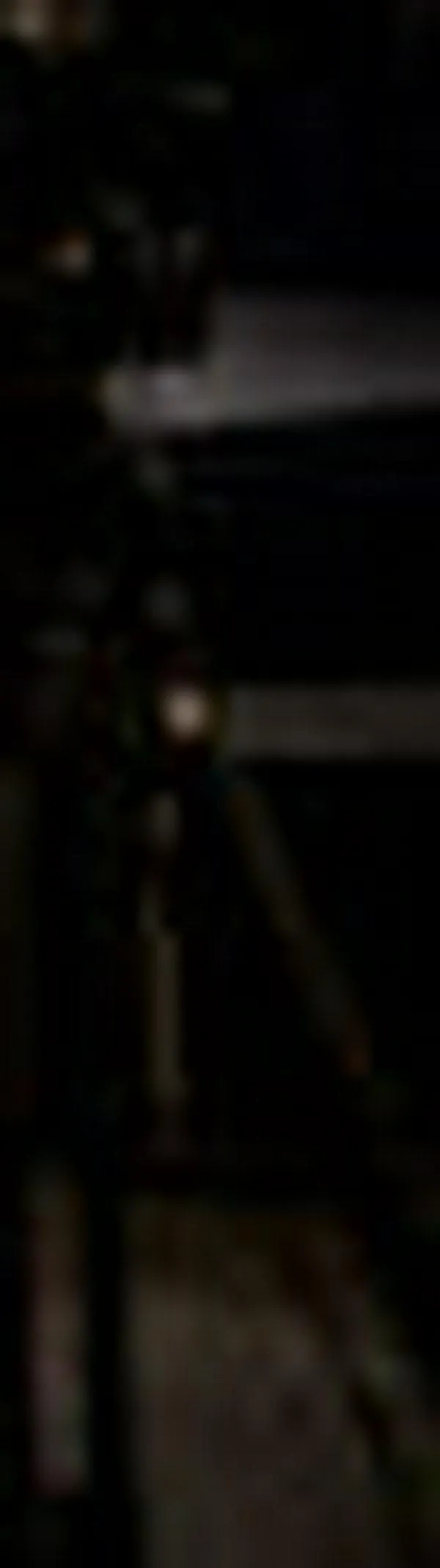 Una campaña sin debate, en manos de los memes