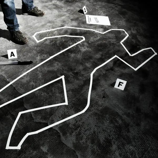 imagen principal home