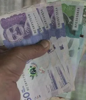 Imagen representativa del artículo