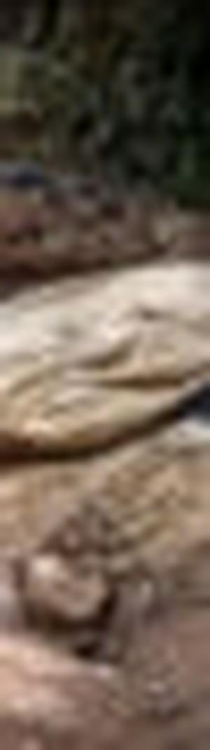 imagen nota inferior