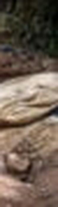 Mercurio en en ríos de Cali: alerta por minería ilegal en Farallones