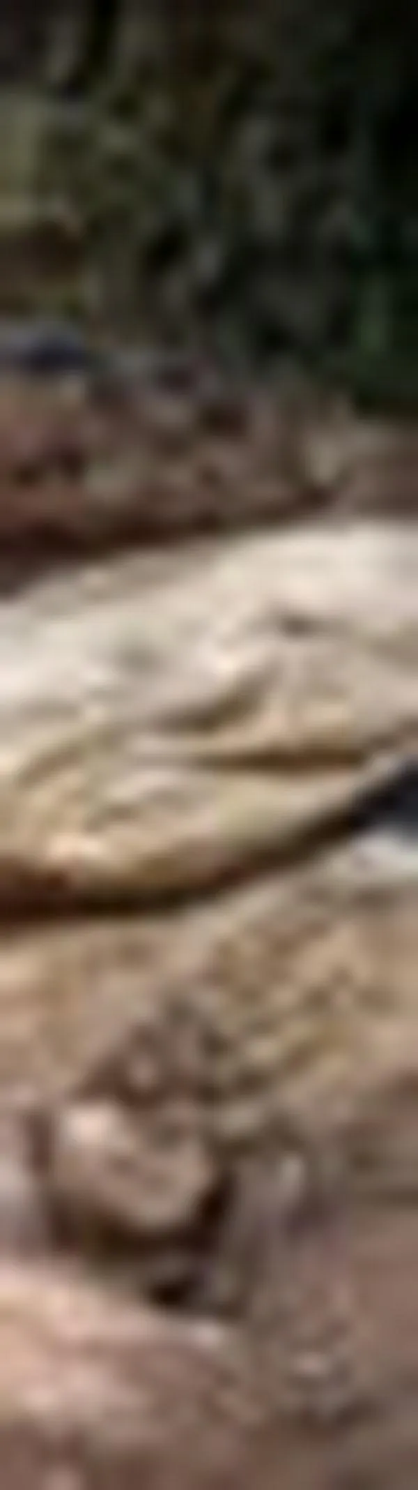 Mercurio en en ríos de Cali: alerta por minería ilegal en Farallones