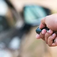 En Bogotá se roban seis vehículos diarios, según cifras publicadas por Concejo