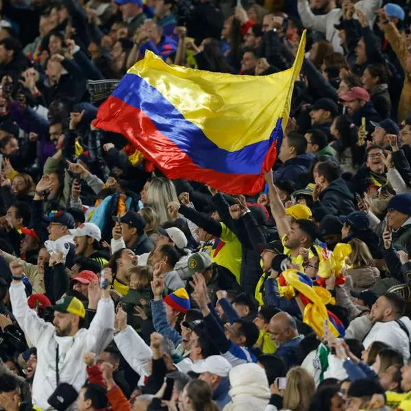 Hinchas Selección Colombia