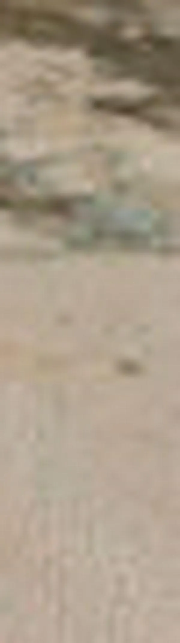 Fenómeno de El Niño en 2026: Ideam advierte aumento al 90% y llama a prepararse ante impactos climáticos