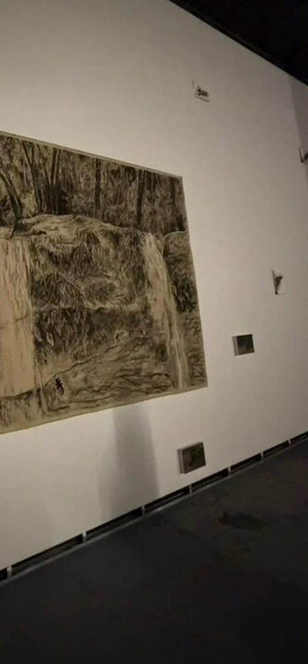 Lo que dejó ARTBO fin de semana: exposición inspirada en el Catatumbo que no deja de sufrir