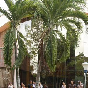 imagen nota inferior