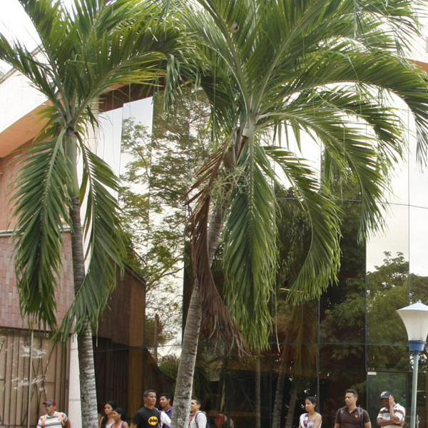 imagen principal home