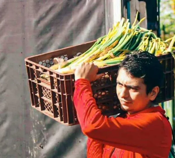 Nuevo decreto cambia la forma en que trabajadores independientes pagan aportes a seguridad social 