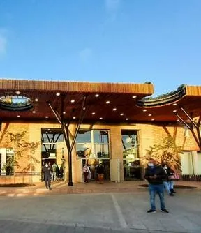 Imagen representativa del artículo