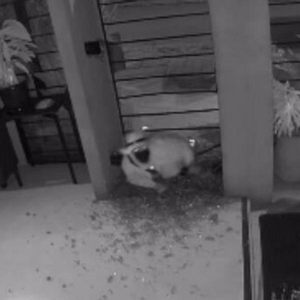 imagen principal home