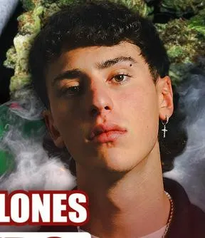 Imagen representativa del artículo