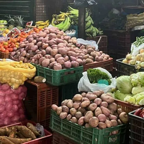 Carne y huevos habrían subido de precio en Colombia: Esto dicen pronósticos