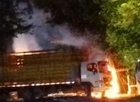 Ataque terrorista en Colombia: incineran animales que iban en camión