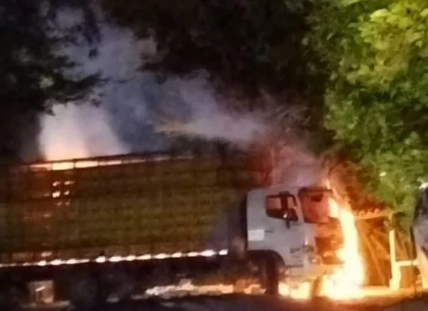 Ataque terrorista en Colombia: incineran animales que iban en camión