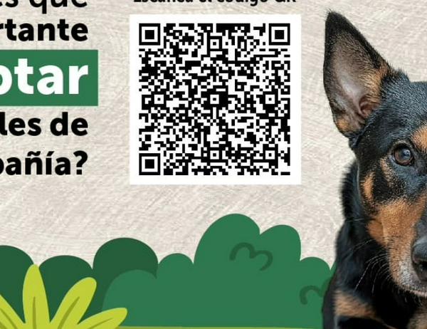 imagen principal home