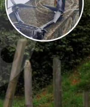 imagen nota inferior