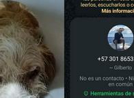 Estafaron a mujer que recogía fondos para salvar a su mascota en Ibagué