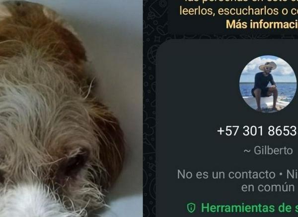 imagen principal home