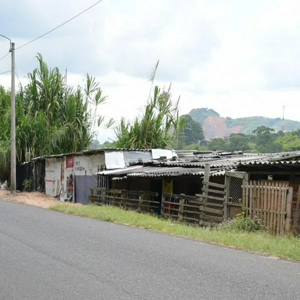 Invasiones, un flagelo multicausal que crece cada día