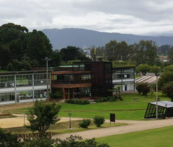 imagen principal home