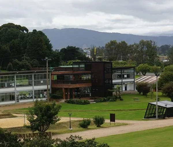 imagen principal home