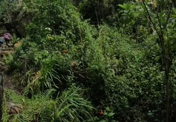 Que no lo tome por sorpresa: Caminos de los Cerros estará cerrado 