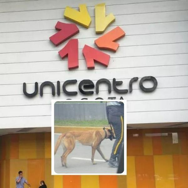 imagen principal home