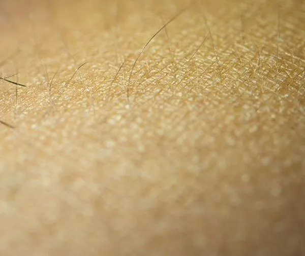 Menos casos de malaria en Pueblo Rico