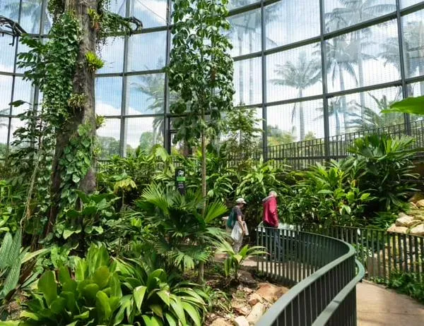 Planes en Bogotá: conoce la agenda cultural y académica del Jardín Botánico para mayo de 2026 