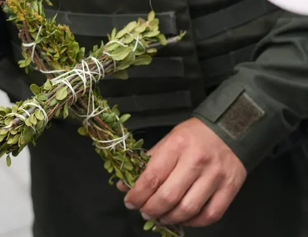 Autoridades ambientales de Bogotá decomisaron 651 kilos de laurel de cera durante la celebración del Día de la Santa Cruz 