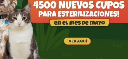 tarjeta noticia
