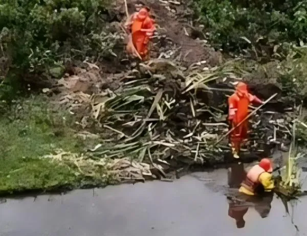 300 m² de material vegetal retirado del humedal Córdoba en Suba, al noroccidente de Bogotá 